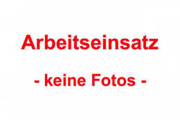 Arbeitseinsatz Arbeitseinsatz