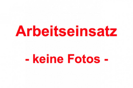 Arbeitseinsatz