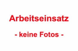 Arbeitseinsatz