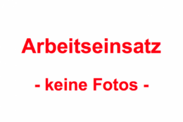 Arbeitseinsatz