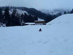 20180223_183409036_ios.jpg