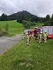 img20250627wa0026.jpg