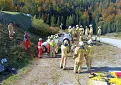 img20251011wa0010.jpg