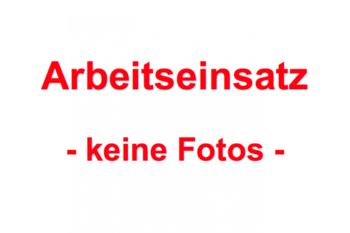 Arbeitseinsatz