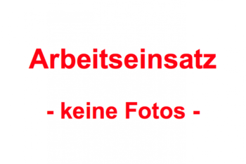 Arbeitseinsatz