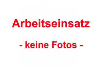 Arbeitseinsatz