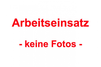 Arbeitseinsatz