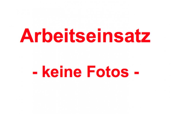 Arbeitseinsatz