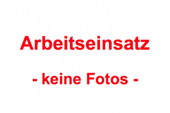 Arbeitseinsatz