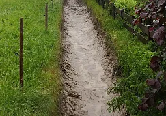 2_img_20200702_195206.jpg