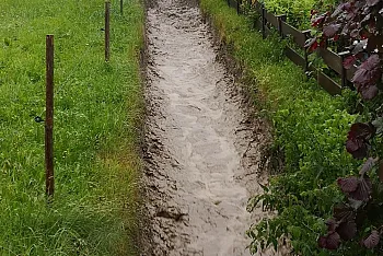 2_img_20200702_195206.jpg
