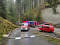 20250329_brand_westendorf46.jpg