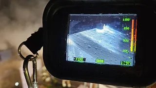 20250729_004310016_ios.jpg