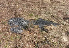 img20250308wa0002.jpg
